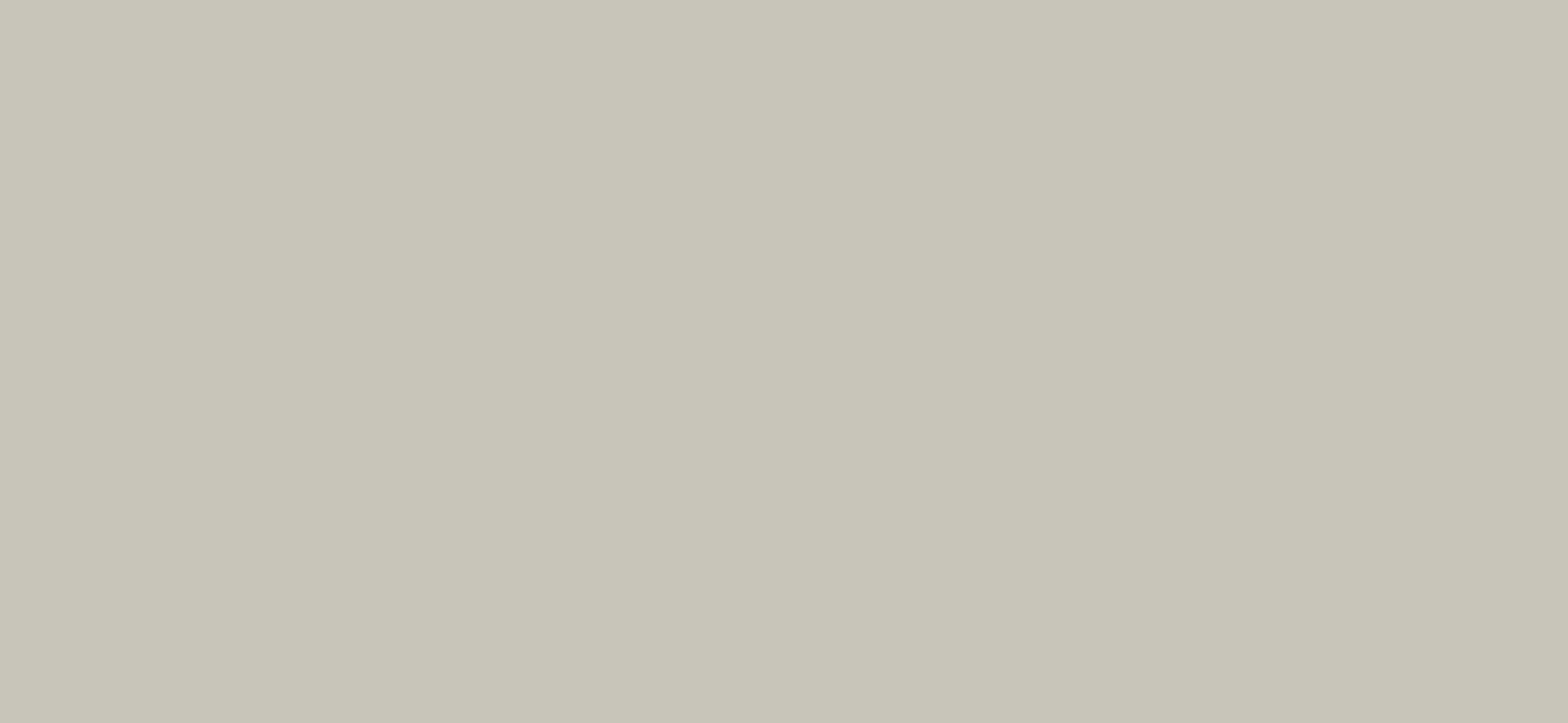 PERFECT PLUS Platinum grey soft mat