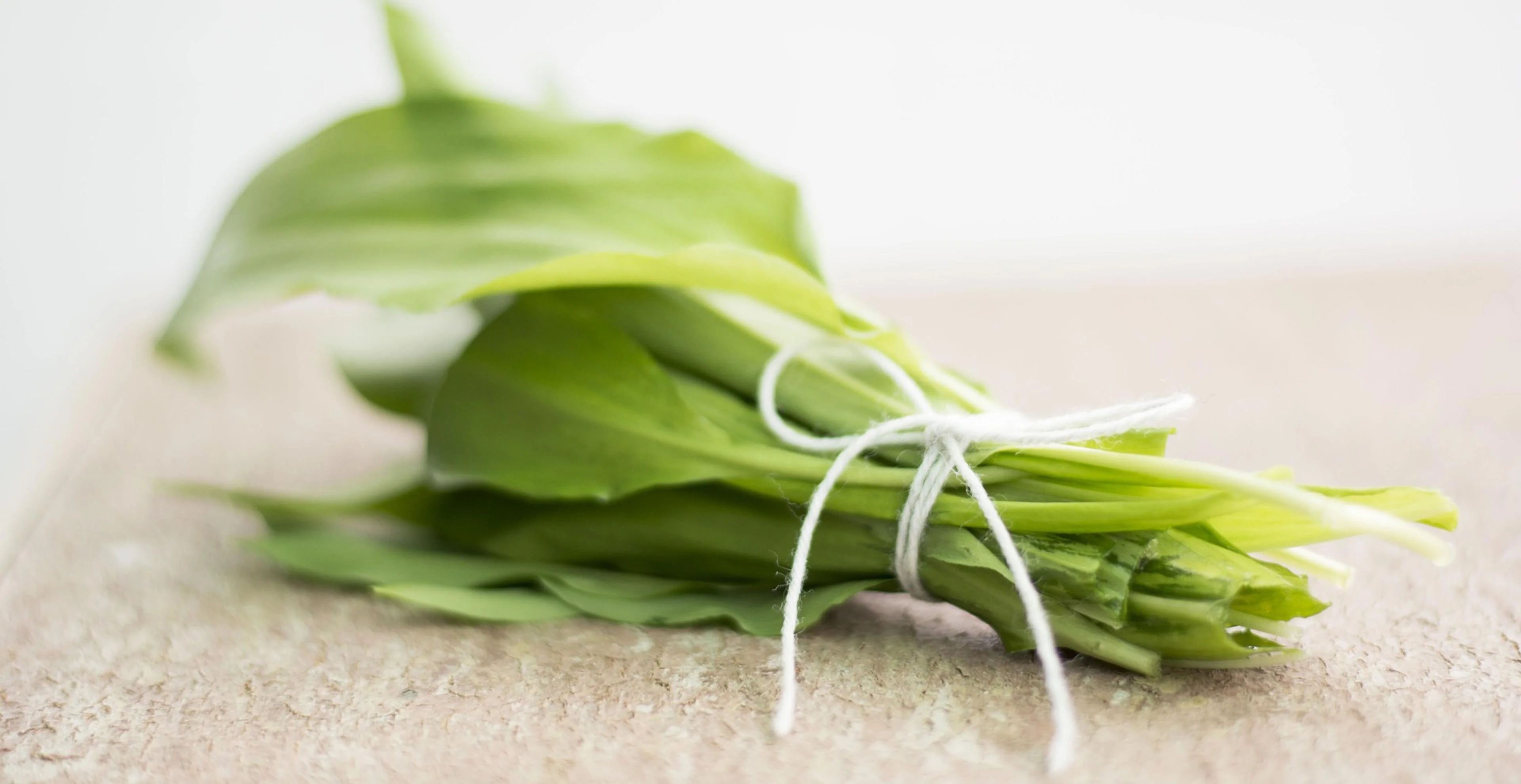 Marquardt Küchen: 3 Bärlauch Rezepte Für Den Frühling